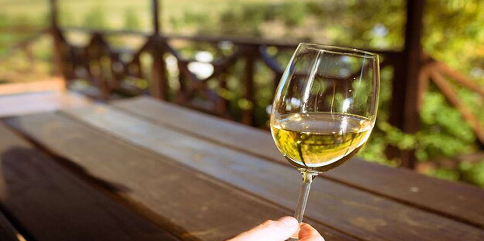 Franschhoek Tram Wine Tasting Full-Day Experience - Activities and Tastings