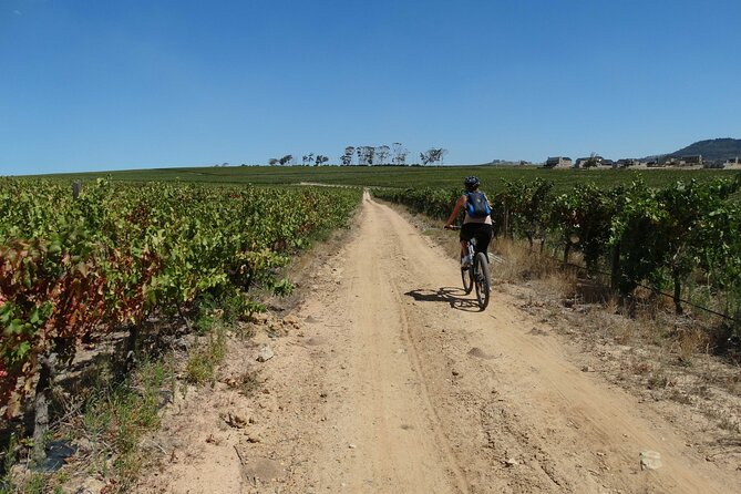 Franschhoek Winelands Meander © - Savoring Lunch Experience