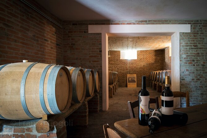 From Bologna: Wine Tasting and Vineyard Tour With the Winemaker - Accessibility and Participation
