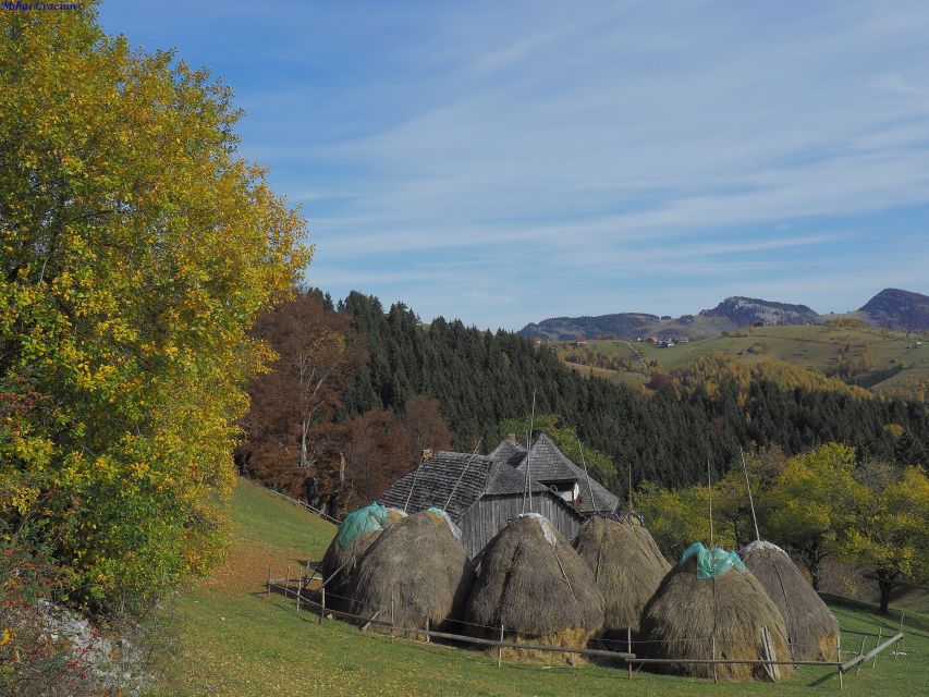 From Brasov: Romanian Mountain Villages Day Tour - Villages to Explore