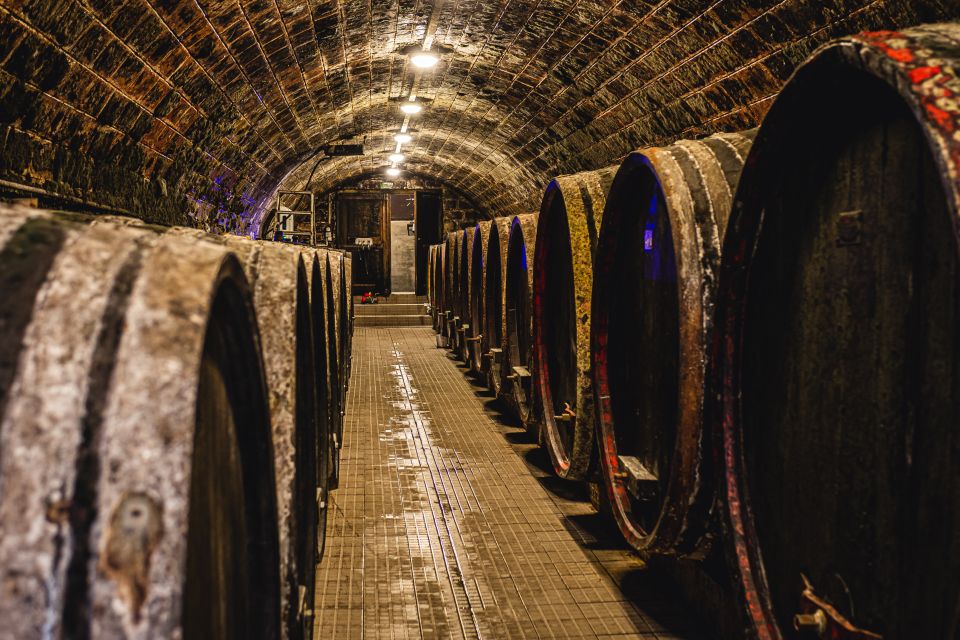 From Budapest: Mátra Hills Wine Tour - Local Wineries