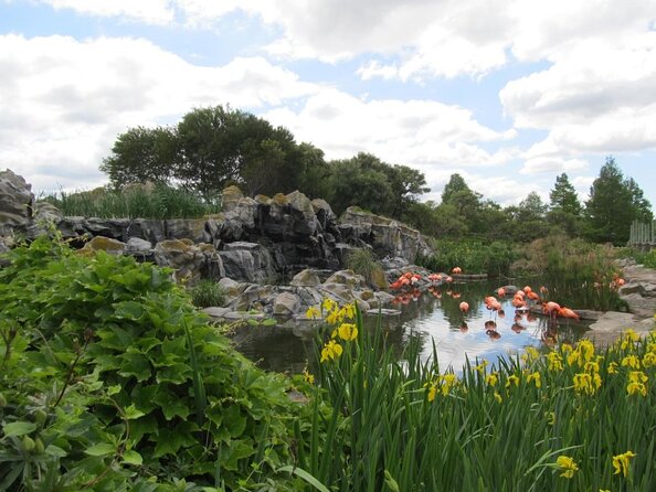 From Buenos Aires: Temaiken Biopark With Transfer and Tickets - Attractions and Experiences