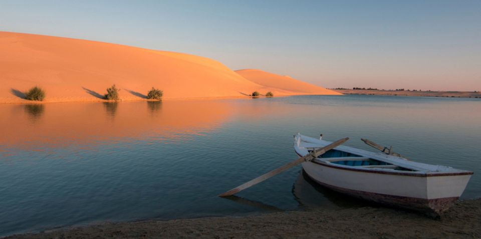 From Cairo: Fayoum Oasis and Wadi Al Rayan Guided Tour - Guided Tour Experience