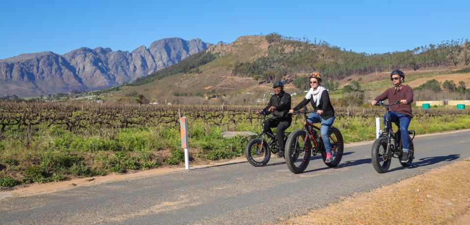 From Cape Town: E-Bike Winelands Tour - Cellar Visit and Lunch