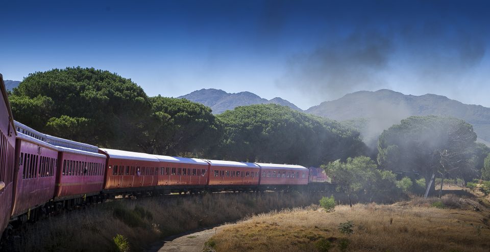 From Cape Town: Steam Train Ticket to Elgin Railway Market - Onboard Experience