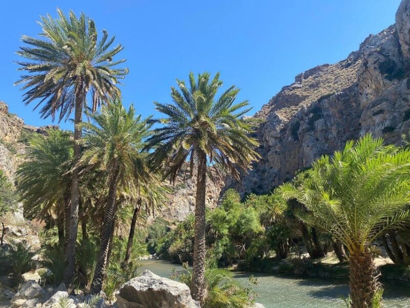 From Chania: Preveli Palm Beach and Kourtaliotis Waterfalls - Lunch at Local Tavern