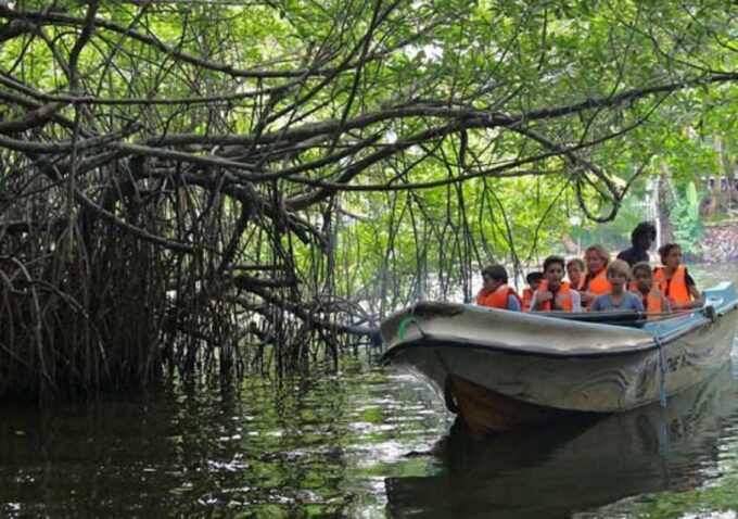From Colombo: Private 2-Day Sri Lanka Highlights Trip - Galle Colonial City Exploration
