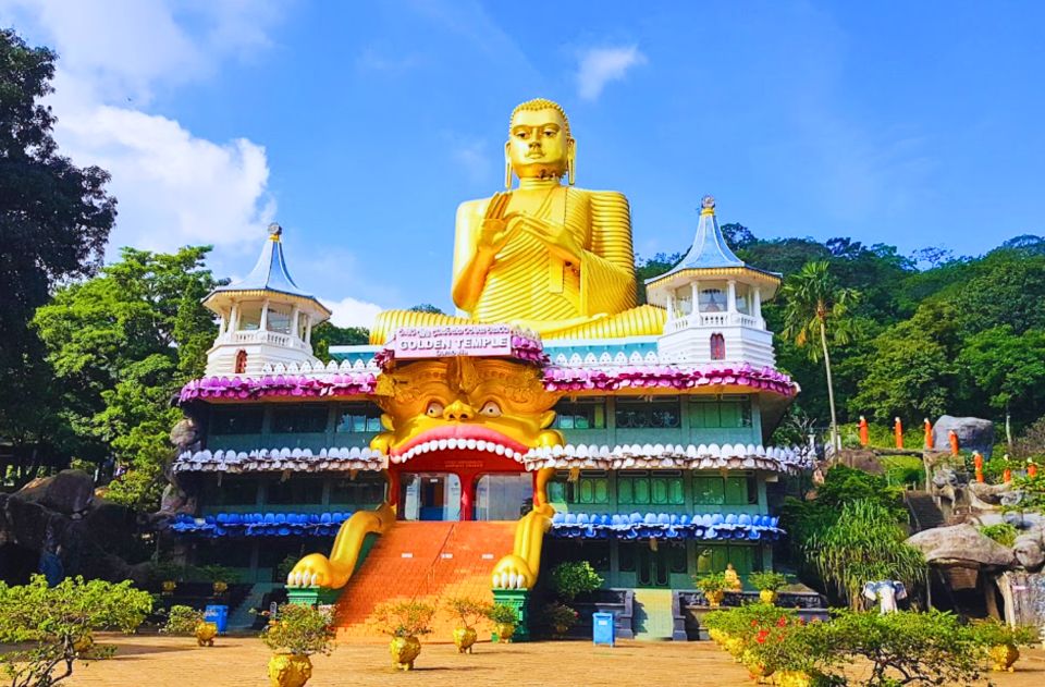 From Colombo: Sigiriya and Dambulla Day Trip and Wild Safari - Inclusions