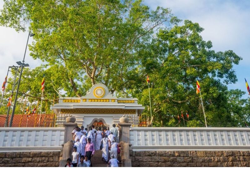 From Dambulla: Guided Tour to Ancient City of Anuradhapura - Visiting Isurumuniya Rajamaha Viharaya