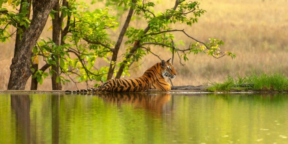 From Delhi : 4 Nights /5 Days Golden Triangle + Ranthambore - Itinerary Day 2