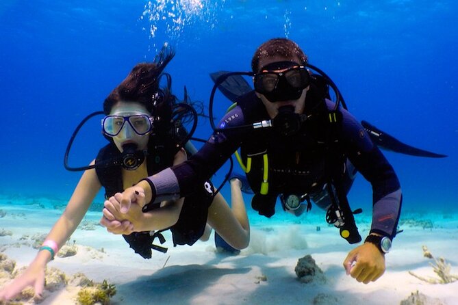 From Dubai: Discovery Scuba Diving Trip in Fujairah - Positive Traveler Feedback