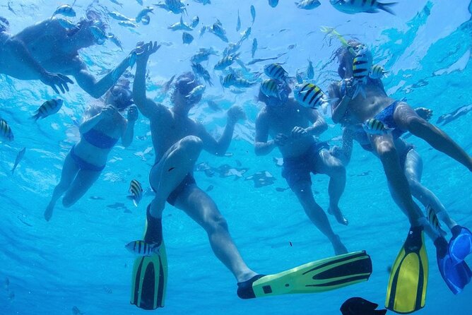 From Dubai: Snorkeling Trip in Fujairah - Participants and Accessibility