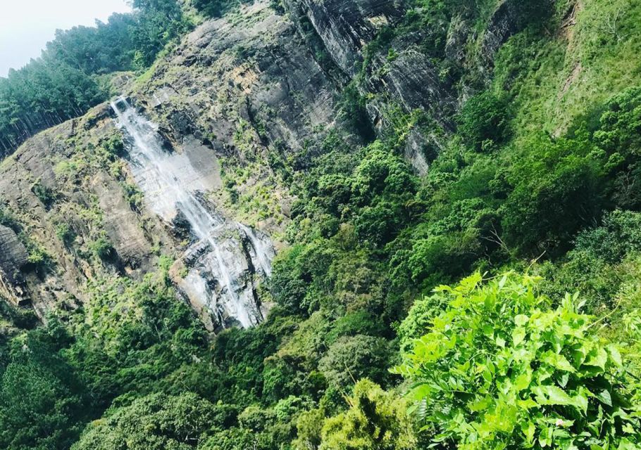 From Ella: Bambarakanda & Lanka Ella Falls Hike With Lunch - Hiking Experience