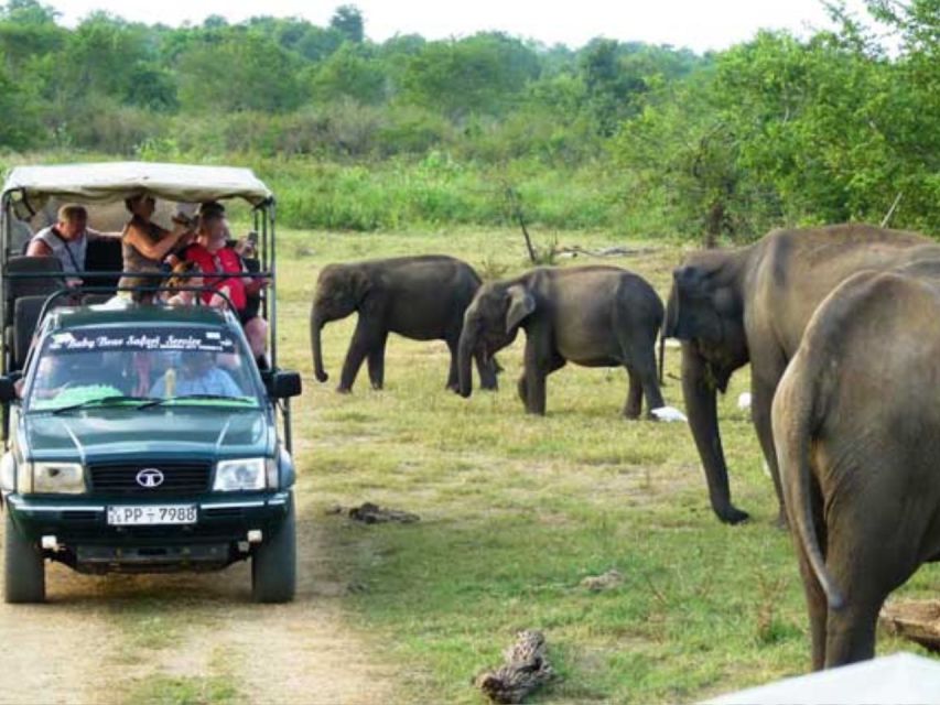 From Ella: Udawalawe Private Safari & Local Lunch Adventure - Inclusions and Transportation