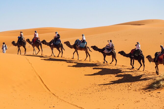 From Fes to Marrakech : 3 Days Tour via the Desert of Merzouga - Day 3 Experiences