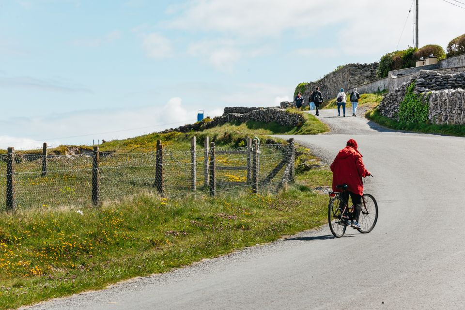 From Galway: Aran Islands & Cliffs of Moher Full-Day Trip - Transportation Details