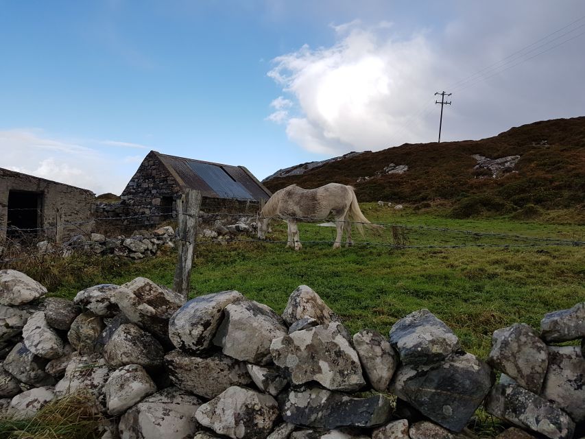 From Galway: Connemara and Kylemore Abbey Day Tour - Inclusions and Exclusions