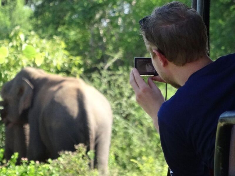 From Hambantota Harbor: Yala Half Day Leopard Safari - Essentials for the Safari