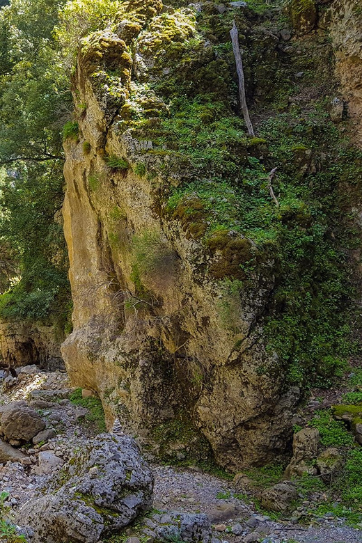 From Heraklion: Imbros Gorge Hike and Sfakia Private Tour - Guidance and Support