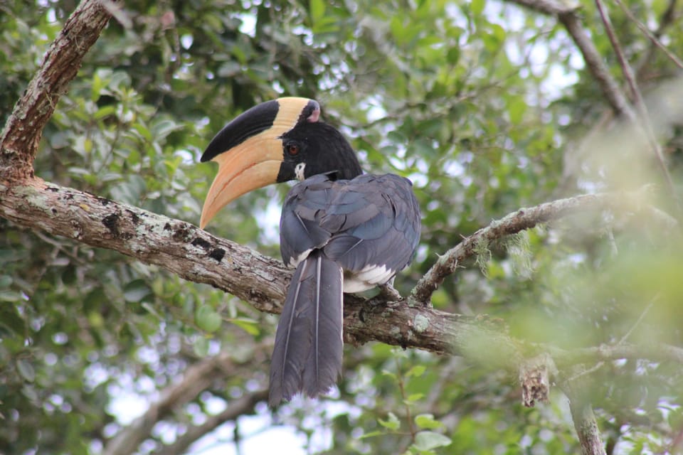 From: Hikkaduwa/ Galle/ Unawatuna/ Talpe - YALA Safari - Important Information