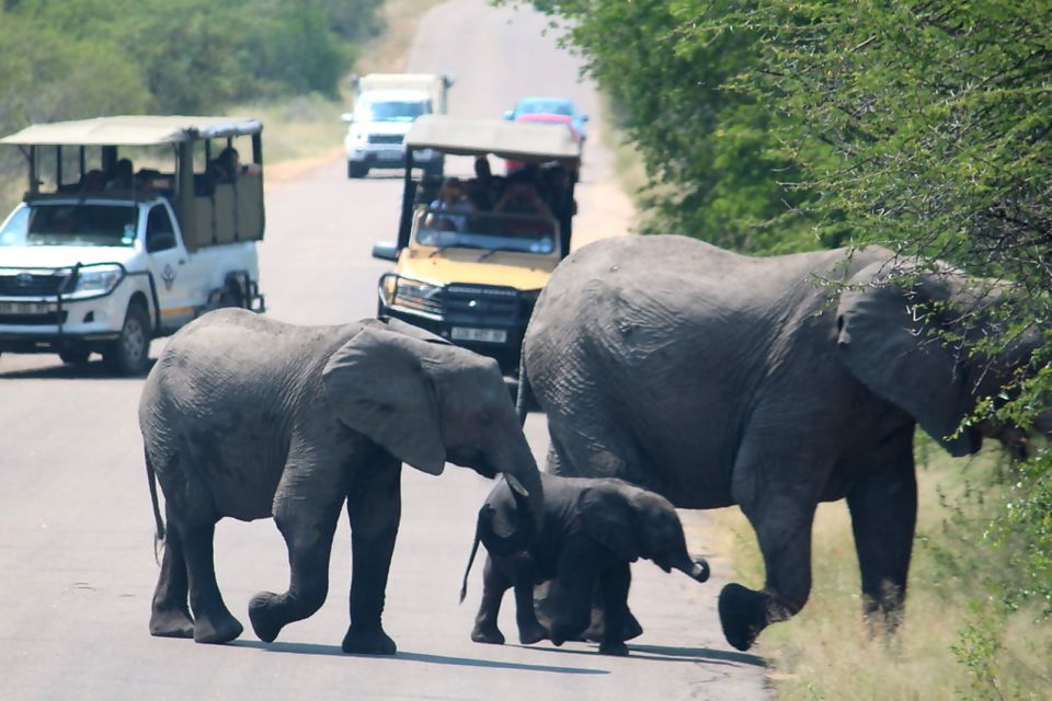 From Johannesburg: 5-Day Johannesburg and Cape Town Tour - Safari in Private Game Reserve