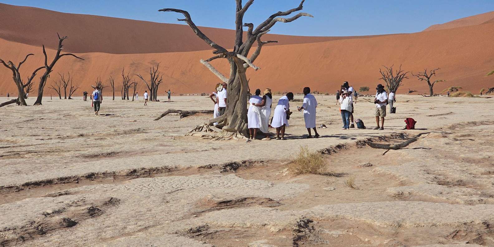 From Johannesburg : 6 Day Namibia Tour - Cultural Experiences