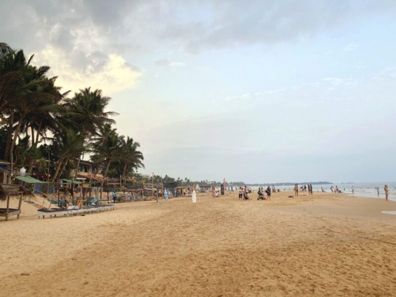 From Kalutara: Bentota Day Tour and Hikkaduwa Beach Tour - Bentota Madu River Boat Safari