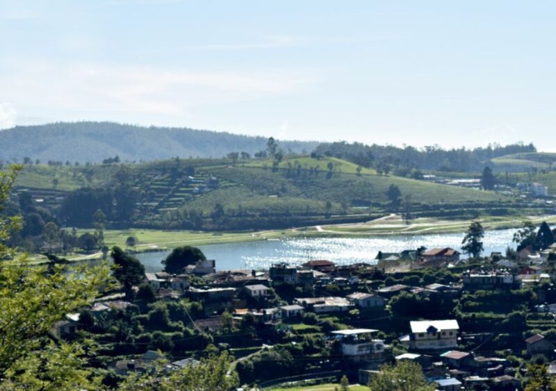 From Kandy: Private Guided Hike to Heeloya - Customer Feedback
