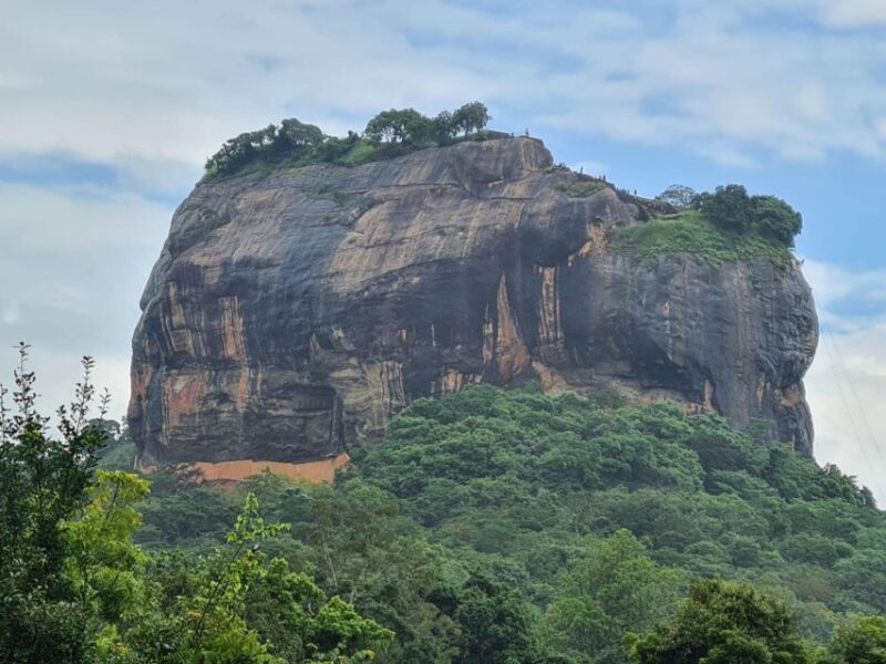From Kandy: Sigiriya Dambulla and Minneriya Safari Day Trip - Inclusions