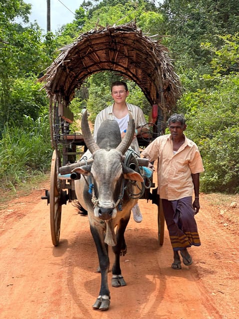 From Kandy: Sigiriya Rock and Village Safari Day Trip - Pickup and Transportation