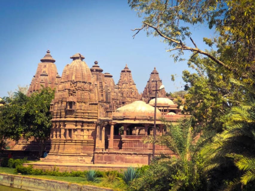 From Khajuraho: 4-Day Khajuraho and Panna National Park Tour - Panna National Park