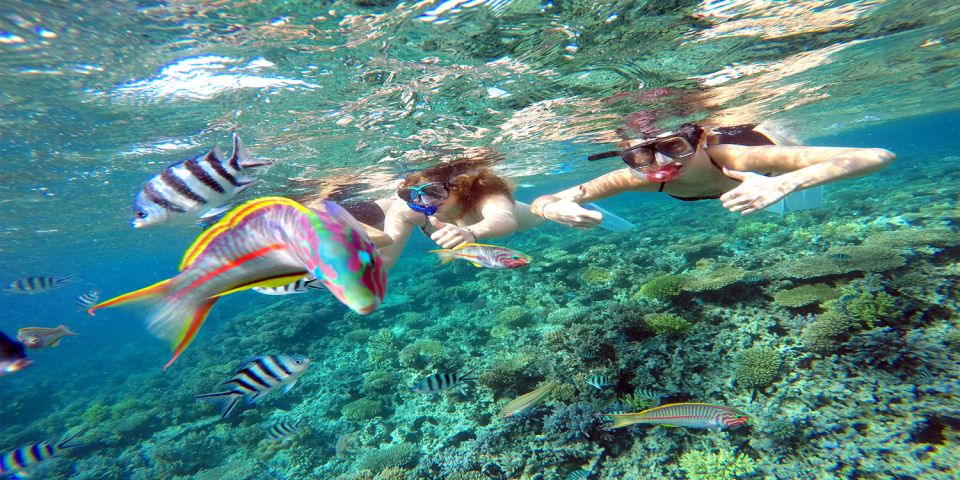 From Makadi Bay: Diving & Snorkeling Boat Tour With Lunch - Inclusions and Equipment