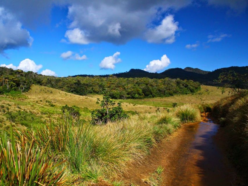 From Nuwara Eliya: Horton Plains Trekking & Tea Factory Tour - Inclusions