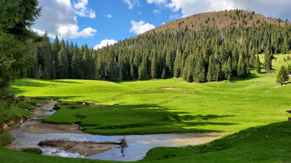 From Oradea:Carpathian Mountains Guided Scenic Hike - Essential Items to Bring