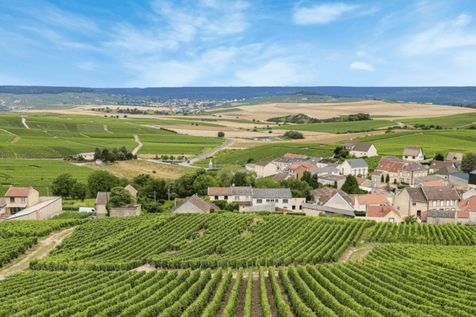 From Paris: Private Sancerre Wine Tour W 10 Tastings & Lunch - Renowned Family-Run Wineries