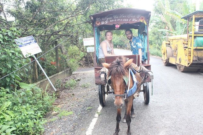 From Phu My Port to Mekong Delta Tour 1 Day Private Car - Why Choose This Tour