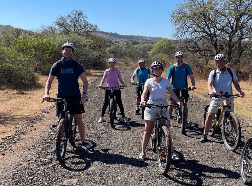 From Pretoria: E-Bike in the Wild With Game Near Joburg - Wildlife and Nature Encounters