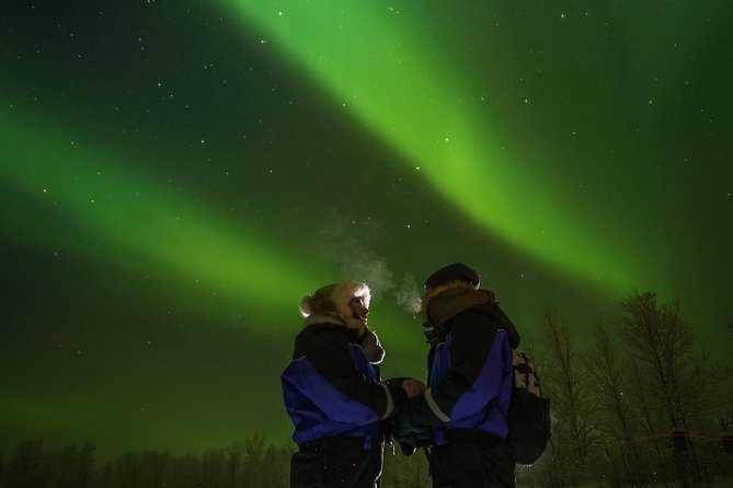 From Saariselkä: Northern Lights Tour to Lake Inari, Including Dinner - Weather and Visibility
