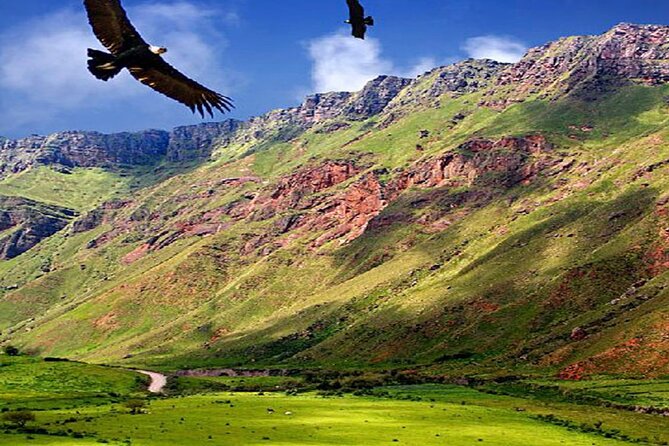 From Salta: Full-Day Tour to Cachi and Los Cardones National Park - Practical Tips for the Tour