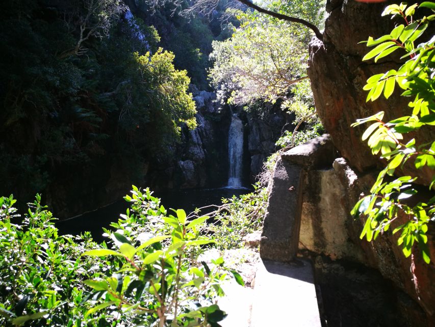 From Stellenbosch: Hermanus Whale Route Tour - Stony Point Nature Reserve