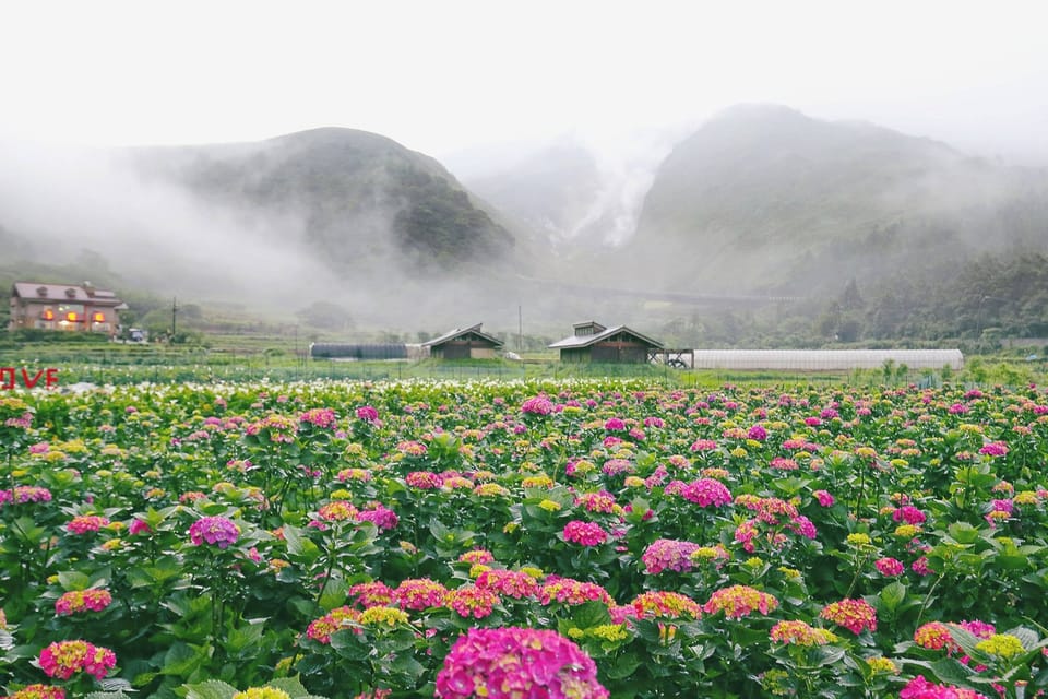 From Taipei: Private Yangmingshan Volcano and Nature Tour - Inclusions and Amenities