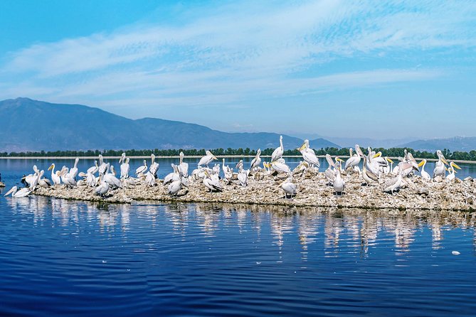 From Thessaloniki: Private Day Trip to Kerkini Lake - Transportation and Meeting Point