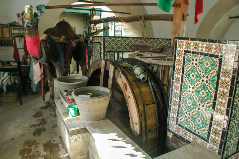 From Tunis: Kairouan, El Jem, & Sousse Day Trip With Lunch - Important Information
