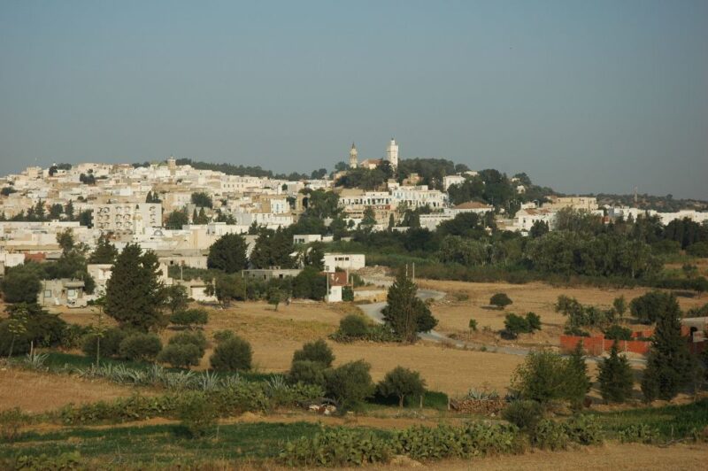 From Tunis: Oudhna & Zaghouan Day Tour With Guide & Lunch - Roman Water Temple