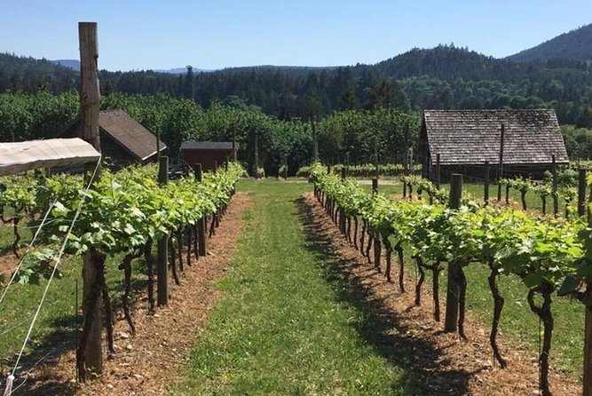 From Victoria to Cowichan Wine 6-Hour Guided Tour - Participant Reviews