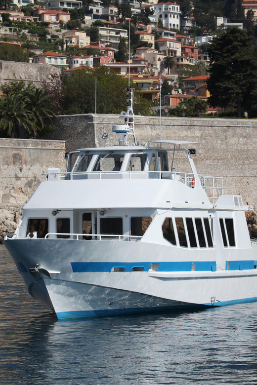 From Villefranche-sur-Mer: Guided Dolphin-Watching Tour - Customer Feedback