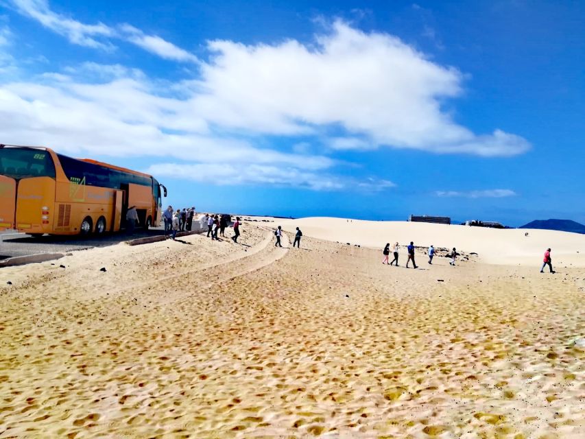 Fuerteventura: Corralejo Sand Dunes for Cruise Passengers - What to Expect