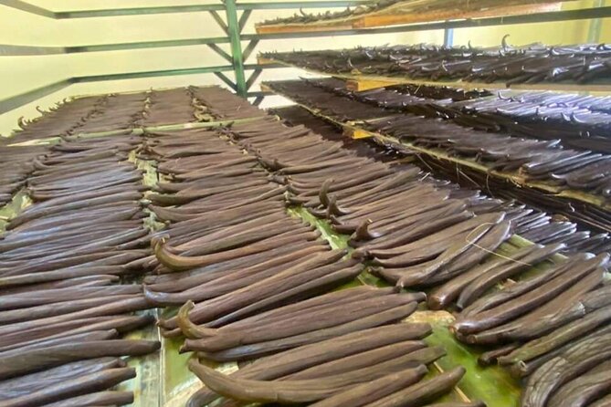 Full Day at Hacienda Cacaoymango and Vanilla Greenhouse. - Frequently Asked Questions
