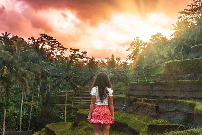 Full-Day Bali Private Customized Tours Create Your Itinerary - What to Expect on Tour