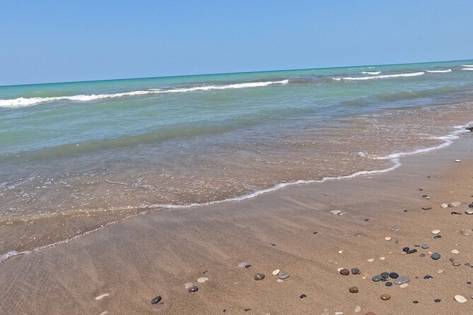 Full-Day Beach Day at Grand Bend - Cancellation and Confirmation